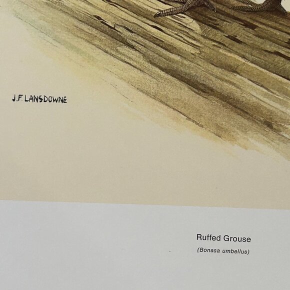 Vintage 1968 & 1969  Calendar Prints J.F. Lansdowne Birds - Picture 7 of 9